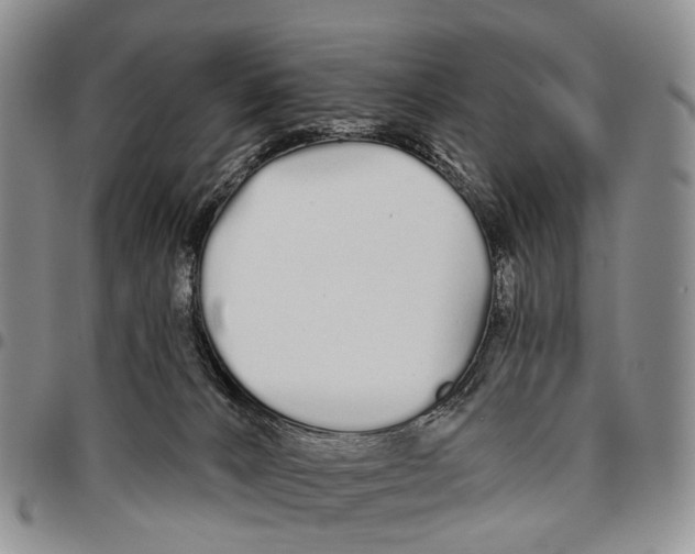 X0000096710032200803041350