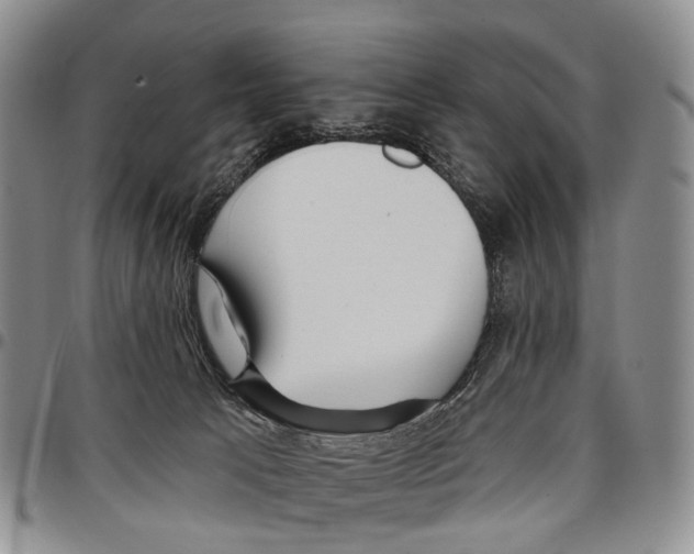 X0000096710033200803041350