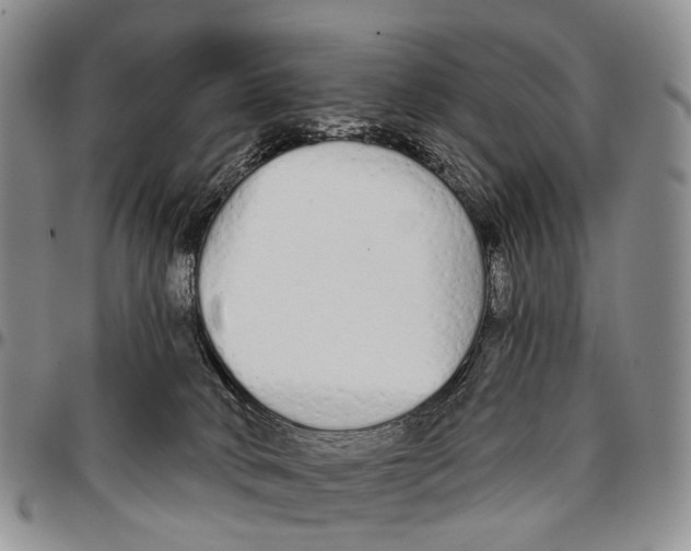 X0000096710034200803041350