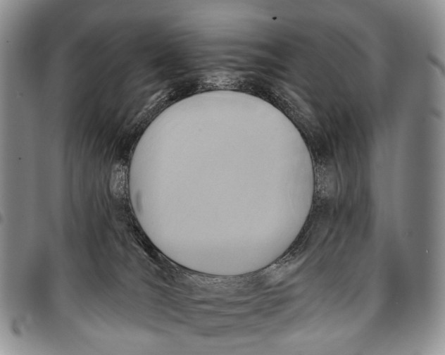 X0000096710036200803041350