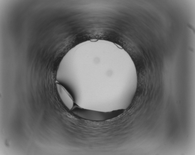 X0000096710037200803041350