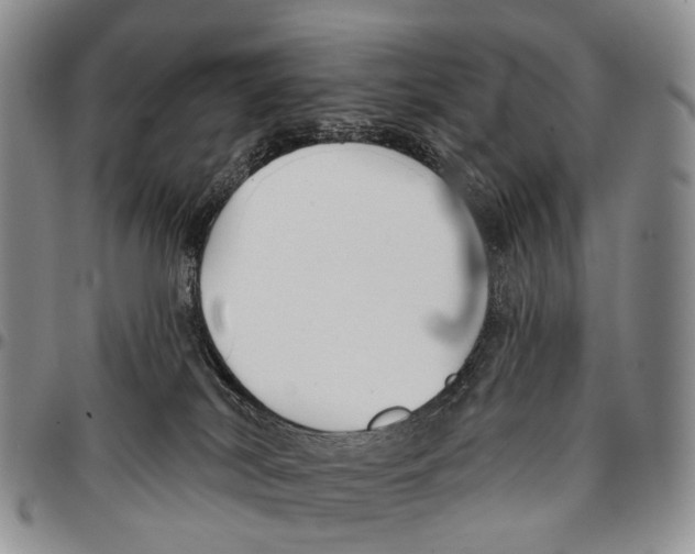 X0000096710038200803041350