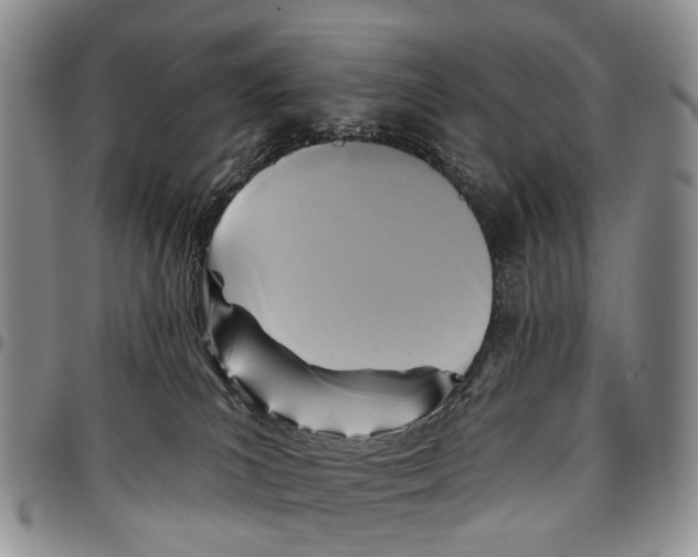 X0000096710039200803041350