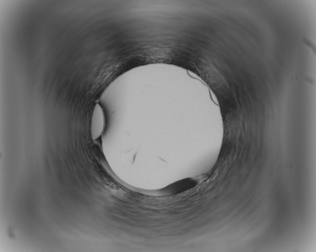 X0000096710041200803041350