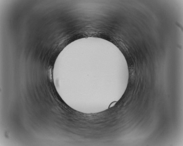 X0000096710042200803041350