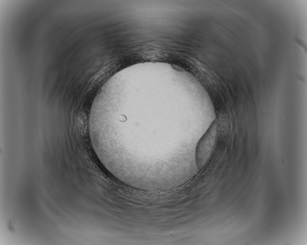 X0000096710043200803041350