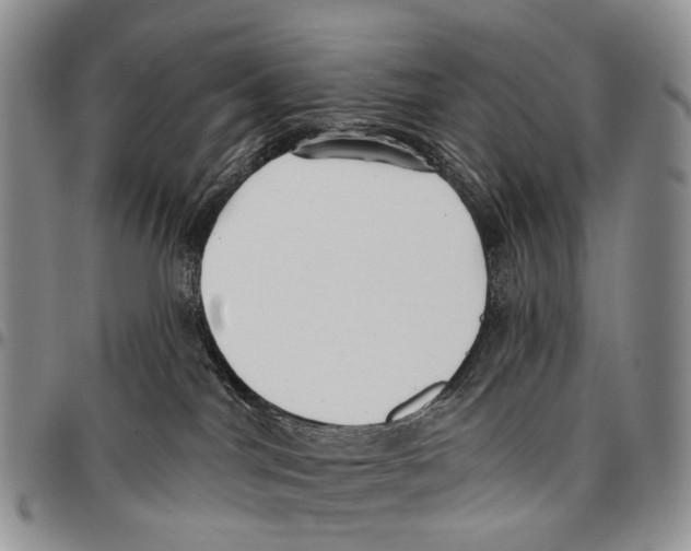 X0000096710044200803041350