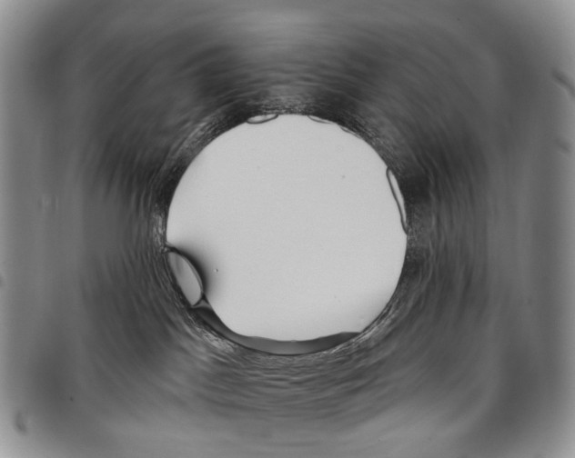 X0000096710045200803041350