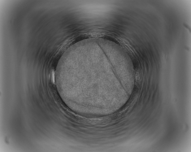 X0000096710046200803041350