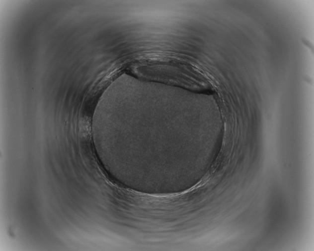 X0000096710048200803041350