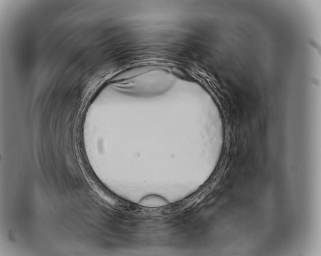 X0000096710049200803041349