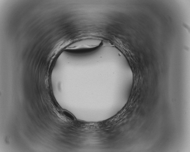 X0000096710050200803041349