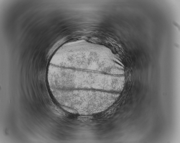 X0000096710051200803041349