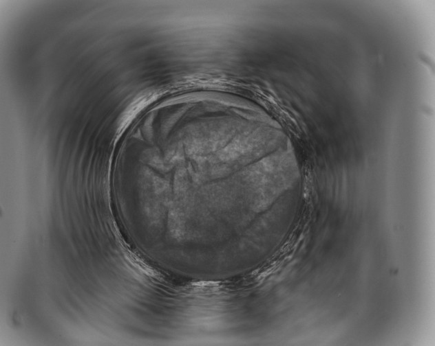 X0000096710052200803041349