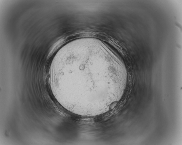 X0000096710053200803041349