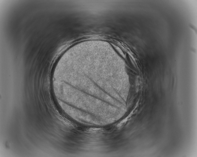 X0000096710055200803041349