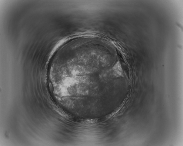 X0000096710056200803041349