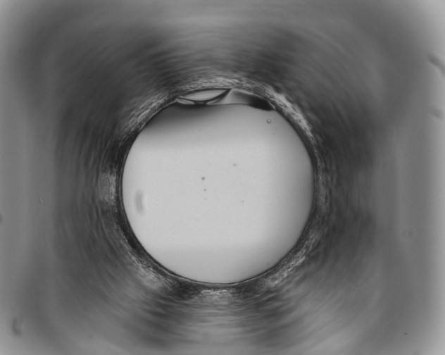 X0000096710057200803041349