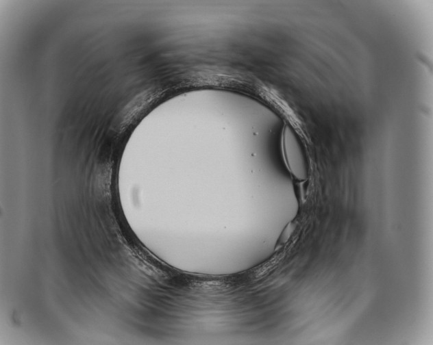 X0000096710058200803041349