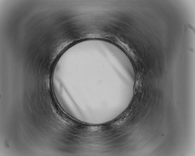 X0000096710060200803041349