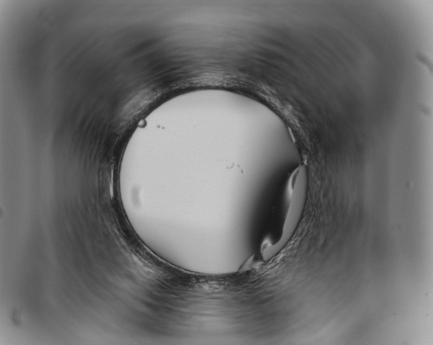 X0000096710062200803041349