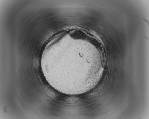 X0000096710063200803041349