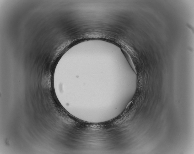 X0000096710064200803041349