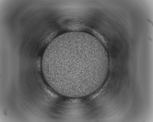 X0000096710065200803041349