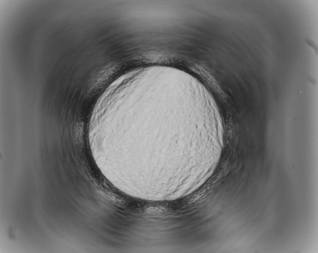 X0000096710066200803041349