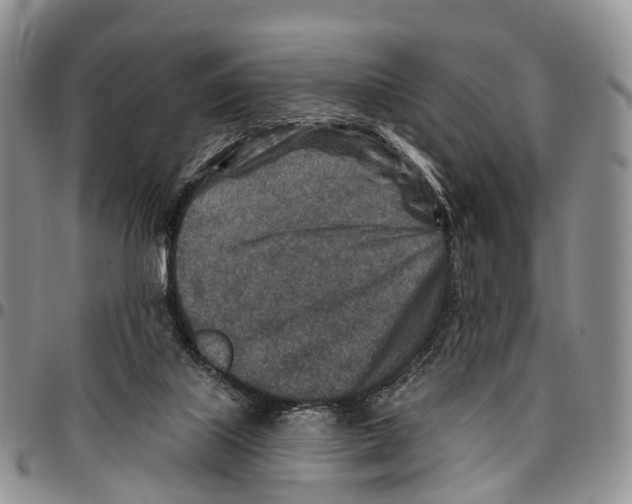 X0000096710067200803041349