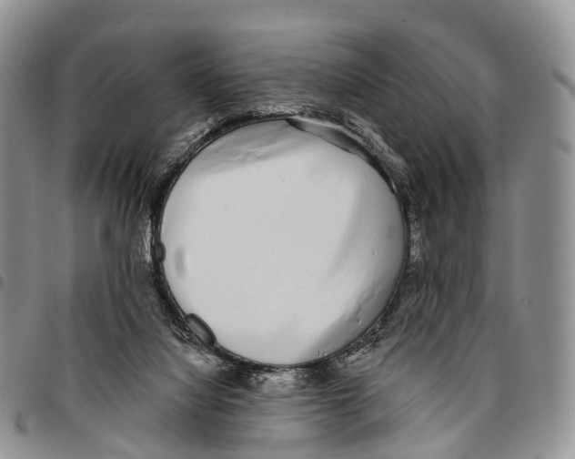 X0000096710068200803041349