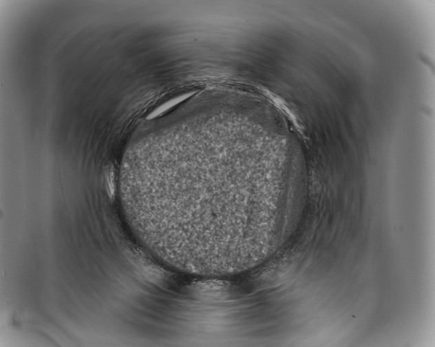 X0000096710069200803041349