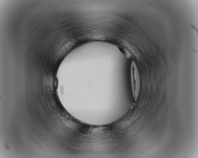 X0000096710072200803041350