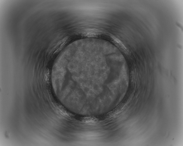 X0000096710073200803041350