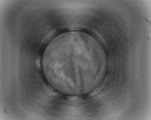 X0000096710074200803041350