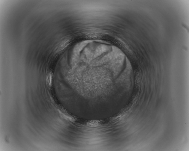 X0000096710076200803041350