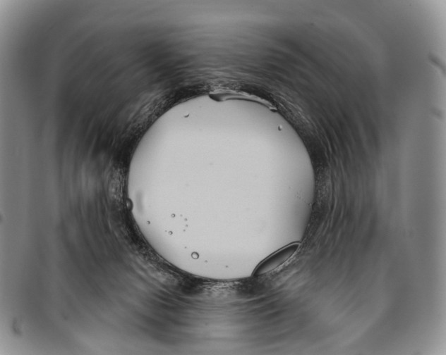 X0000096710078200803041350