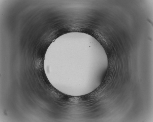 X0000096710079200803041350