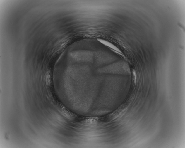 X0000096710080200803041350