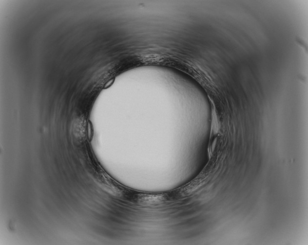 X0000096710081200803041350