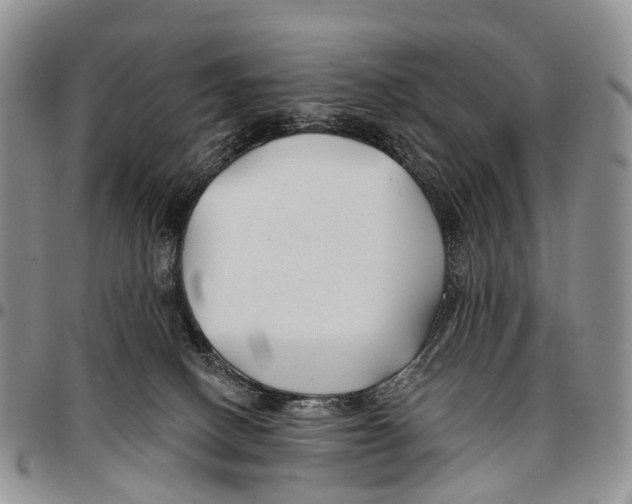 X0000096710082200803041350