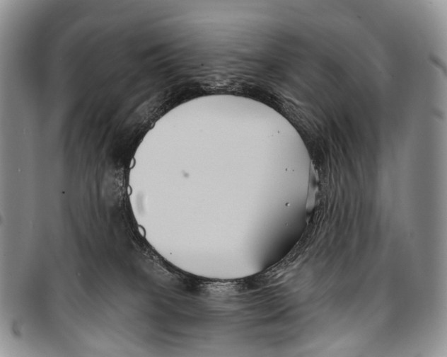 X0000096710085200803041350