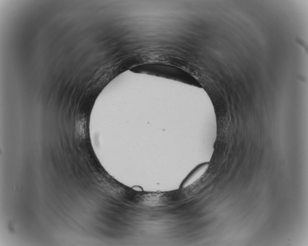 X0000096710090200803041350