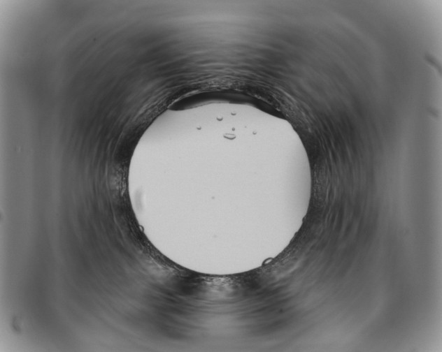 X0000096710091200803041350