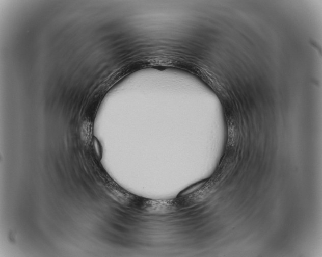 X0000096710093200803041350