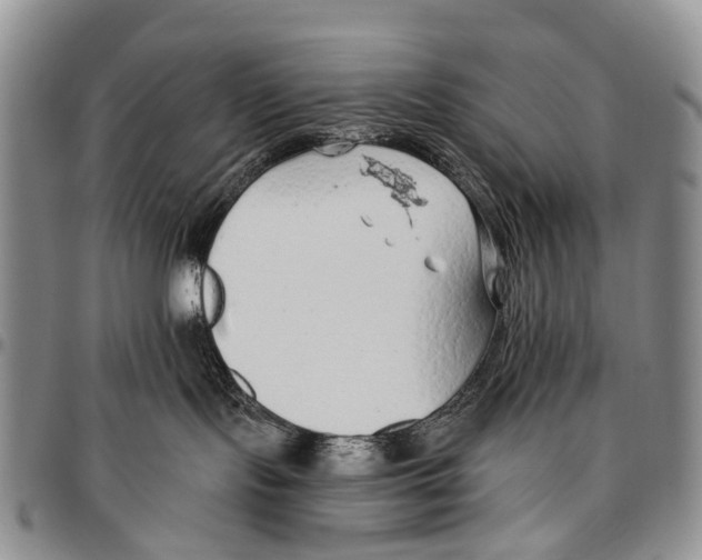 X0000096710095200803041350