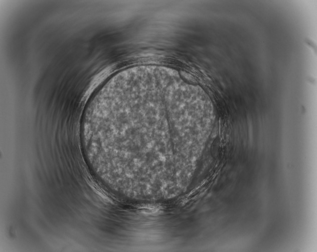 X0000096710099200803041349