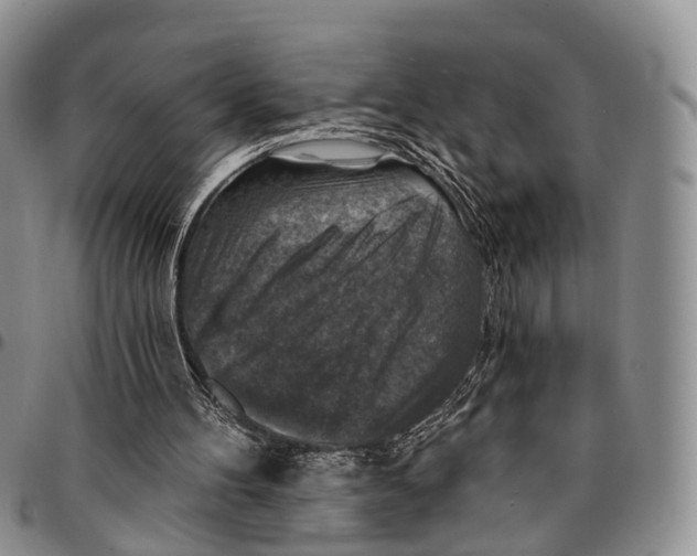 X0000096710100200803041349