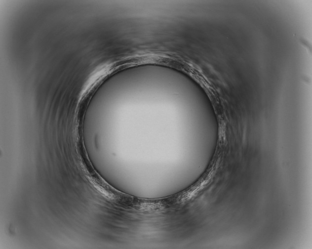 X0000096710101200803041349