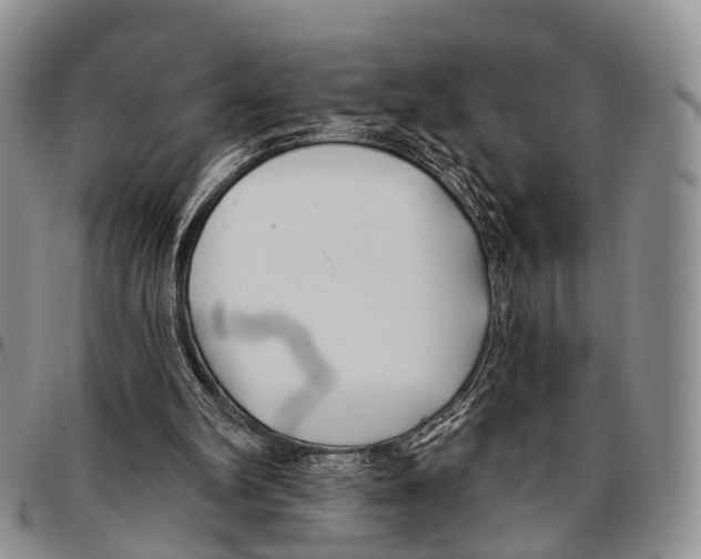 X0000096710102200803041349